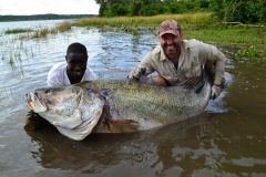 Okoń nilowy-195cm/145cm,115kg