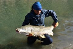 Nepal 2016- Mahseer