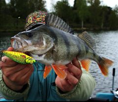 IMG 20201030 174750 347