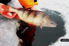 IMG 20200807 104700 779