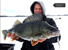 IMG 20201117 115727 557