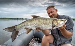 ...letni bolomanolo...