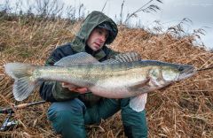 Pawcio A.K.A @szycha81...