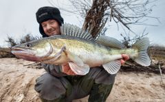 ..grudzień AD 2014...