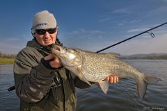 Boleniowa, złota jesień...