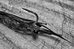 crazy charlie mocny variant