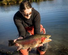 I jeszcze jeden, z tego samego dnia