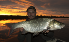 rapa wieczorową porą:)