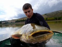 Face closeup A.D.2012