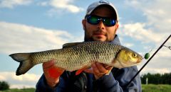 smużakowy - wietrzny