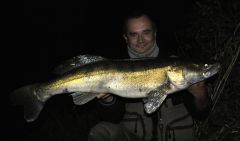 Sławkowy jesienny smok