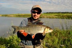 z wysokiej wody, z traw - na brombę