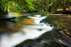 Roztoczańska księżniczka.