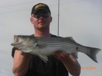 stripers kentucky 023.jpg
