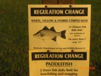 stripers kentucky 028.jpg