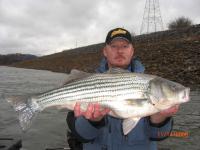 Kentucky november 2008 009.jpg