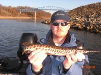 Kentucky november 2008 043.jpg